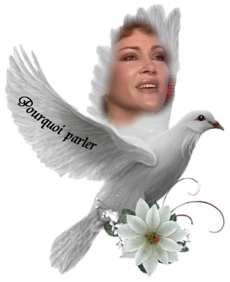 pourquoipalrler